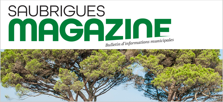 Magazine municipal